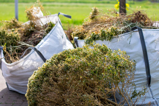 Best Garage Cleanout  in Wells, MN