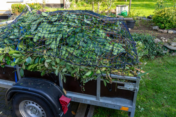 Best Appliance Removal  in Wells, MN
